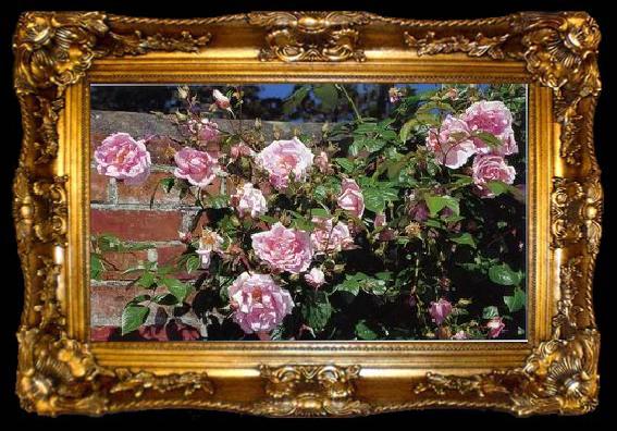 framed  unknow artist Still life floral, all kinds of reality flowers oil painting  174, ta009-2